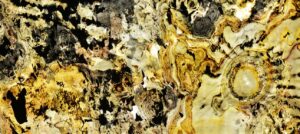 slate style autumn leaf