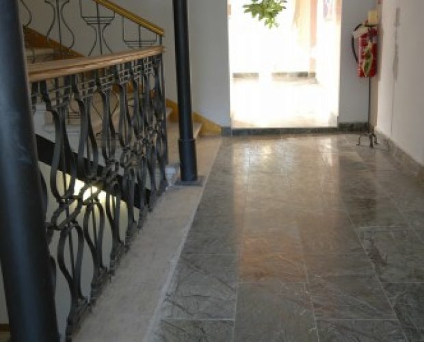 Forest_Green-129-900-500-100 (1)