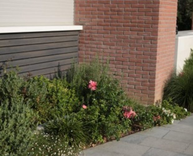 Lime_blu__1_-87-900-500-100