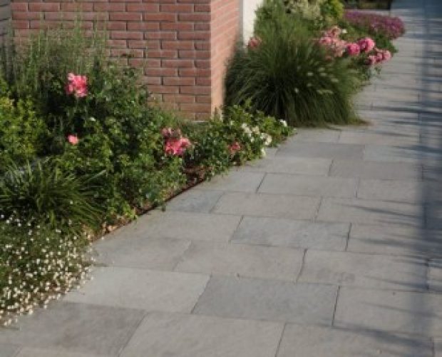 Lime_blu__2_-88-900-500-100