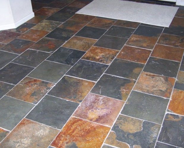 Peacock2-107-900-500-100